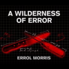 A_Wilderness_of_Error