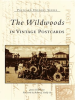 The_Wildwoods