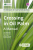 Crossing_in_Oil_Palm