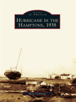 Hurricane_in_the_Hamptons__1938